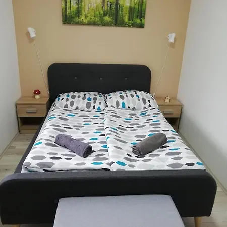Nefelejcs Vendeghaz